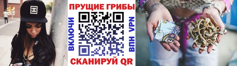 Галлюциногенные грибы Magic Shrooms  Купить где  Талица 